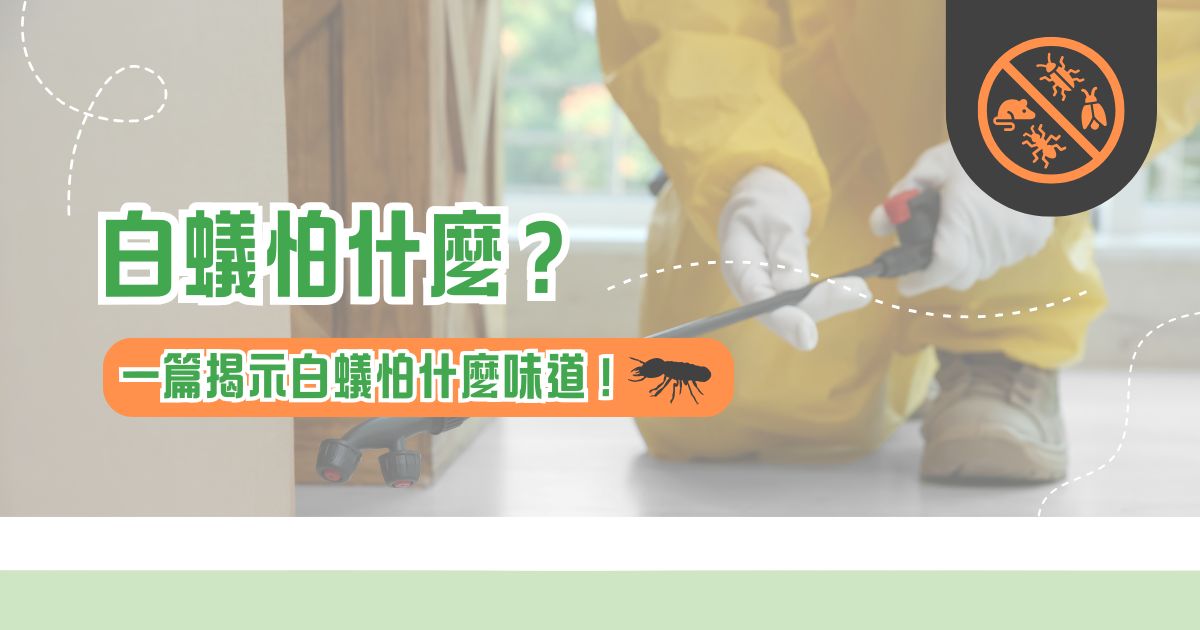 白蟻怕什麼？一篇揭示白蟻怕什麼味道！