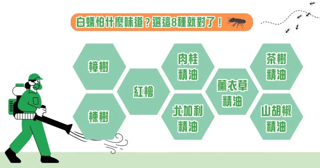 白蟻怕什麼?一篇揭示白蟻怕什麼味道! 2 白蟻怕什麼味道?選這 8 種就對了!