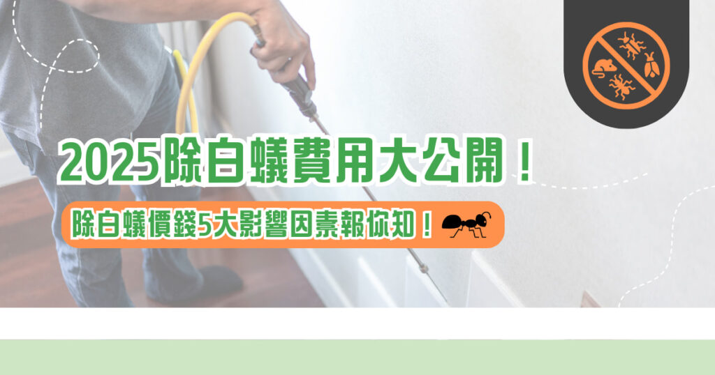 2025 除白蟻費用大公開！ 除白蟻價錢 5 大影響因素報你知！