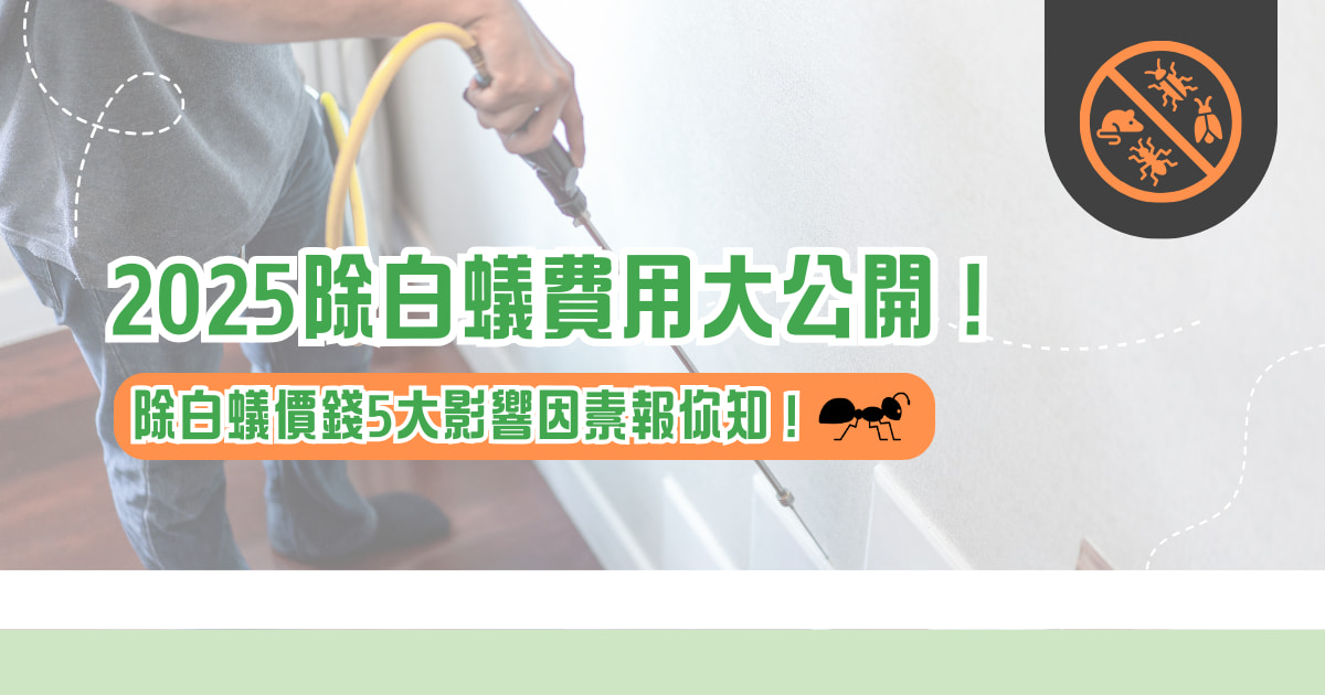 2025 除白蟻費用大公開！ 除白蟻價錢 5 大影響因素報你知！