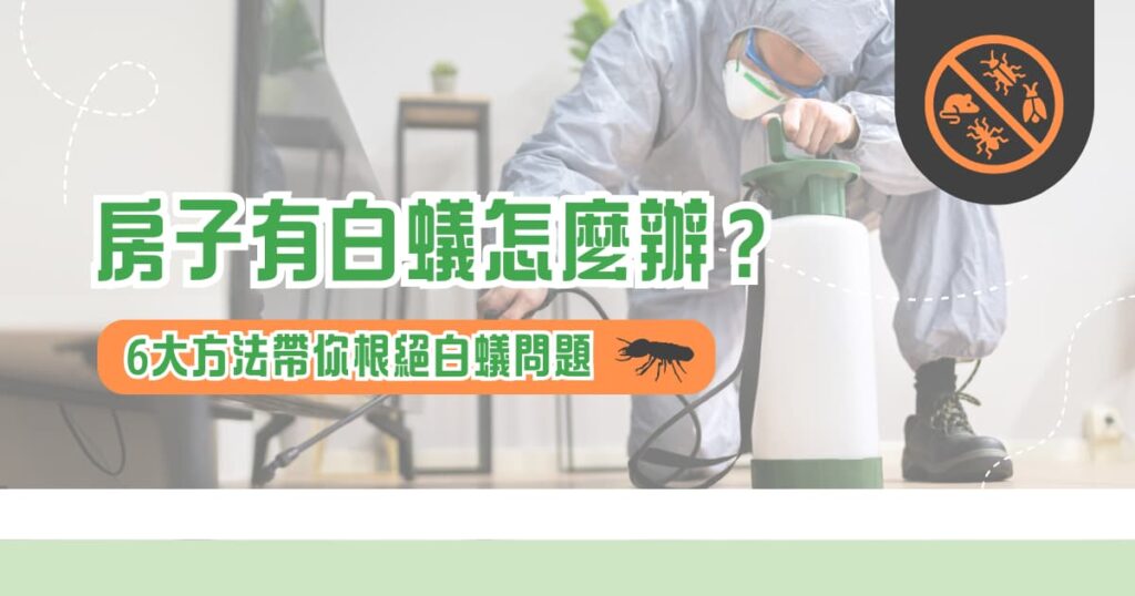 房子有白蟻怎麼辦？ 6 大方法帶你根絕白蟻問題