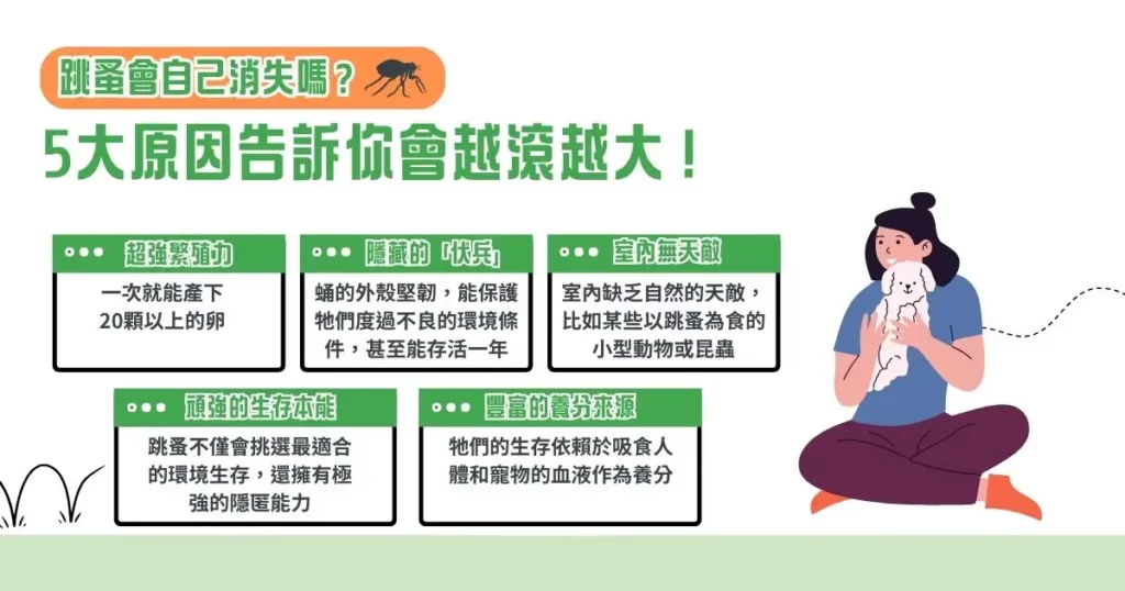 房間怎麼除跳蚤?跳蚤會自己消失嗎?一次釐清! 1 跳蚤會自己消失嗎? 5 大原因告訴你會越滾越大!