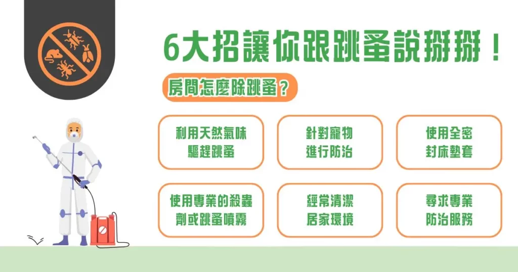 房間怎麼除跳蚤?跳蚤會自己消失嗎?一次釐清! 2 房間怎麼除跳蚤? 6 大招讓你跟跳蚤說掰掰!