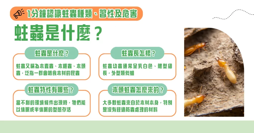 如何消滅蛀蟲?專家教你木頭蛀蟲怎麼處理的 7 大手段! 1 蛀蟲是什麼? 1 分鐘認識蛀蟲種類、習性及危害
