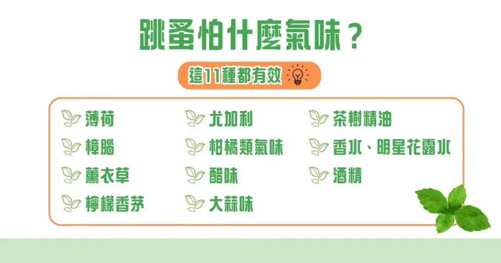 跳蚤怕什麼氣味？這 11 種都有效