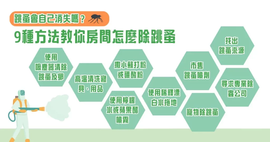 跳蚤會自己消失嗎？9 種方法教你房間怎麼除跳蚤