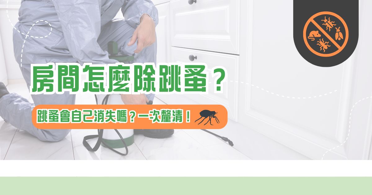 房間怎麼除跳蚤？跳蚤會自己消失嗎？一次釐清！