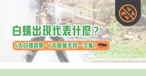 白蟻出現代表什麼？ 5 大白蟻跡象、 7 大除蟻手段一次看！