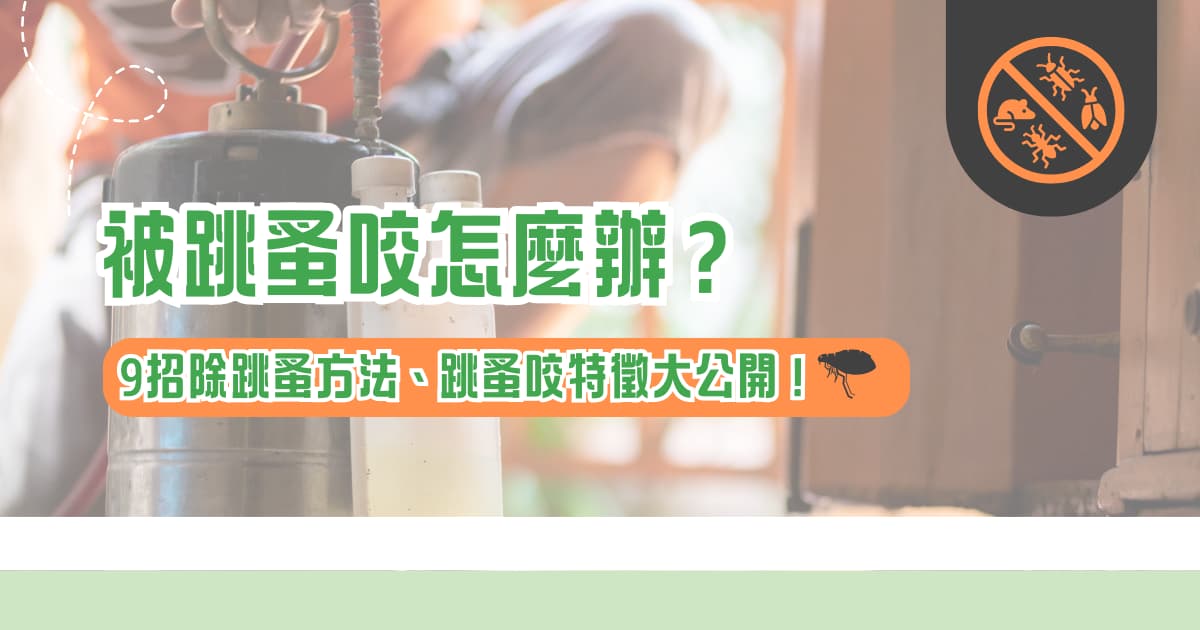 被跳蚤咬怎麼辦？ 9 招除跳蚤方法、跳蚤咬特徵大公開！