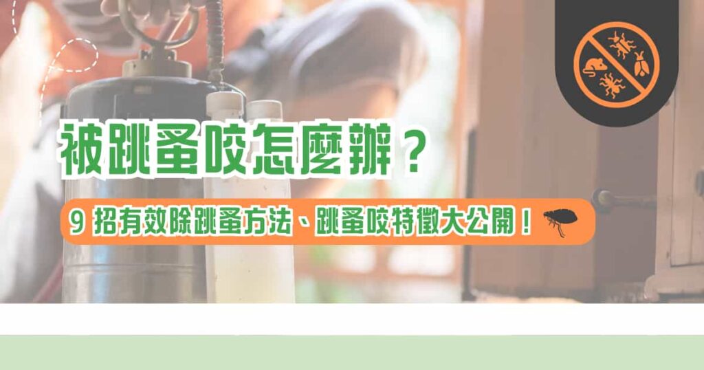 被跳蚤咬怎麼辦？ 9 招有效除跳蚤方法、跳蚤咬特徵大公開！