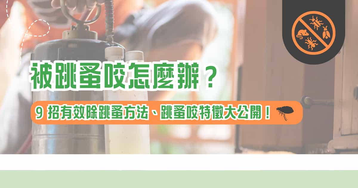 被跳蚤咬怎麼辦？ 9 招有效除跳蚤方法、跳蚤咬特徵大公開！