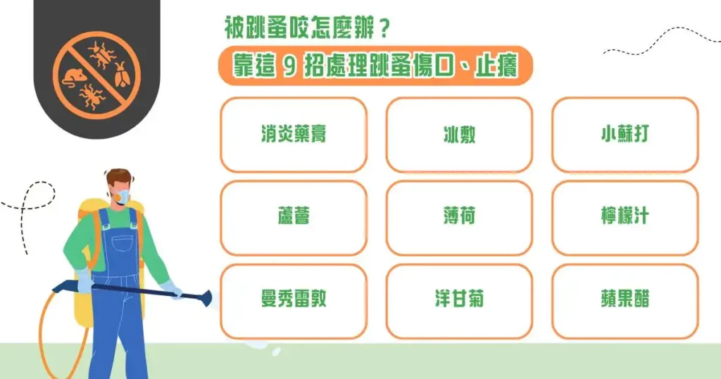 被跳蚤咬怎麼辦? 9 招除跳蚤方法、跳蚤咬特徵大公開! 2 被跳蚤咬怎麼辦?靠這 9 招處理跳蚤傷口、止癢