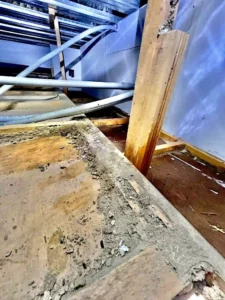 實際案例分享 1 ：公司室內白蟻防治現場2