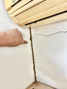 實際案例分享 1 ：公司室內白蟻防治現場1