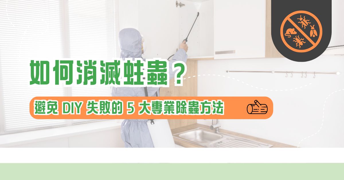 如何消滅蛀蟲？避免 DIY 失敗的 5 大專業除蟲方法