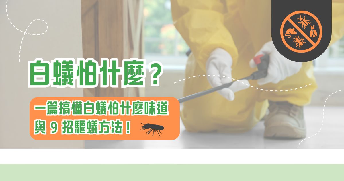 白蟻怕什麼？一篇搞懂白蟻怕什麼味道與 9 招驅蟻方法！
