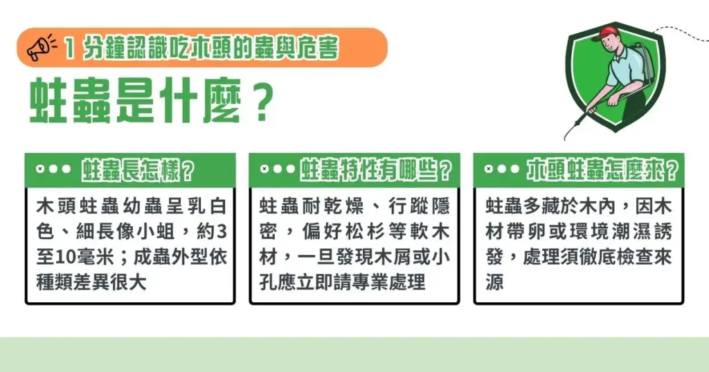 蛀蟲是什麼？ 1 分鐘認識吃木頭的蟲與危害