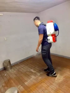 實際案例分享 3 ：店家除跳蚤現場1