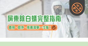 屏東除白蟻完整指南：費用、程序、推薦清單一次看！