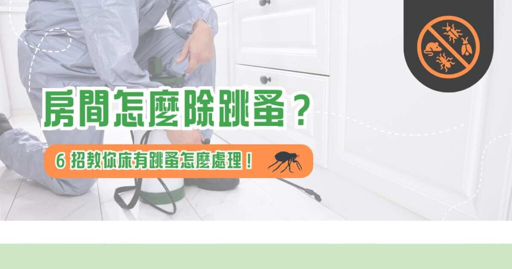 房間怎麼除跳蚤？ 6 招教你床有跳蚤怎麼處理！