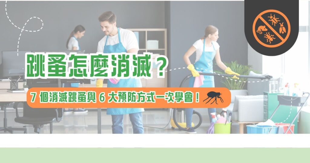 木頭白蟻怎麼處理？3招防治與選材攻略