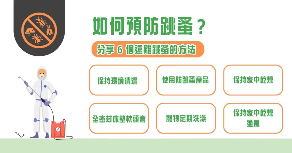 如何預防跳蚤？分享 6 個遠離跳蚤的方法！