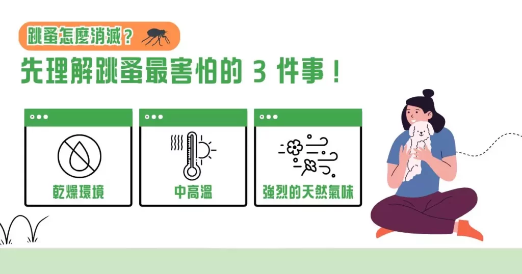 跳蚤怎麼消滅？先理解跳蚤最害怕的 3 件事！
