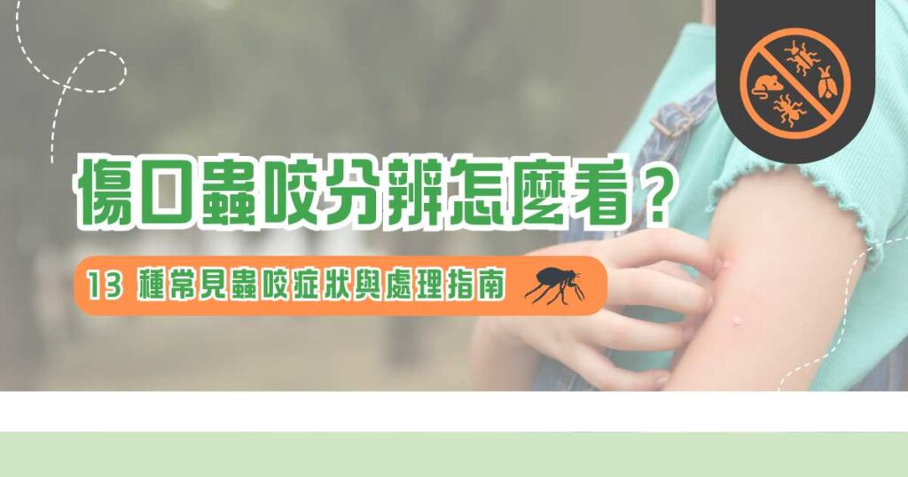 傷口蟲咬分辨怎麼看？ 13 種常見蟲咬症狀與處理指南