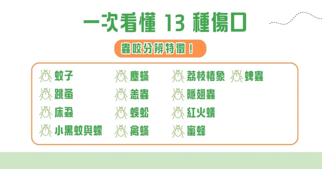 一次看懂 13 種傷口蟲咬分辨特徵！
