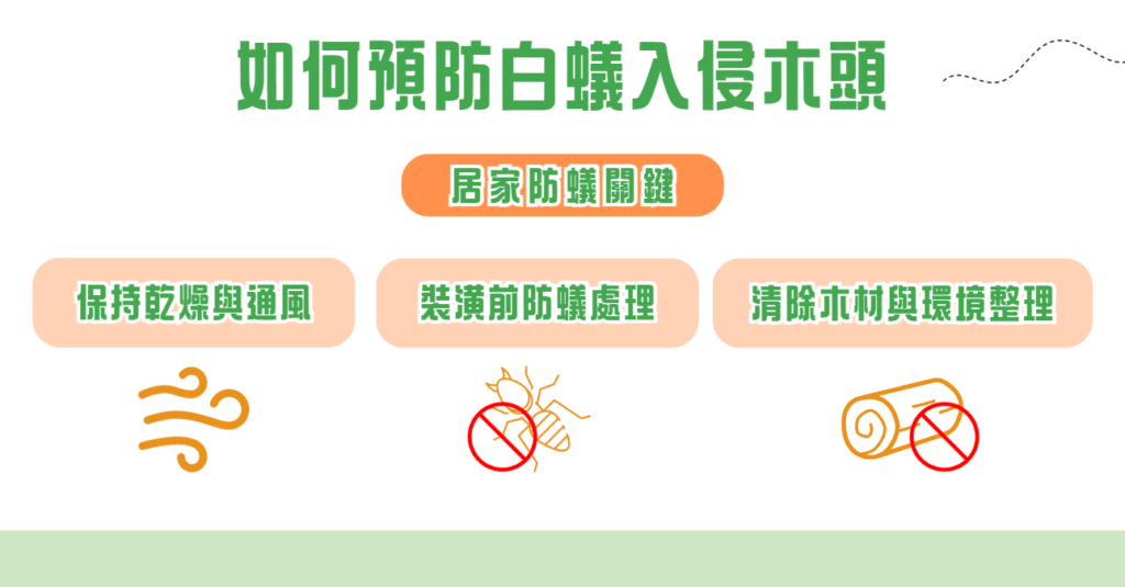 如何預防白蟻入侵木頭