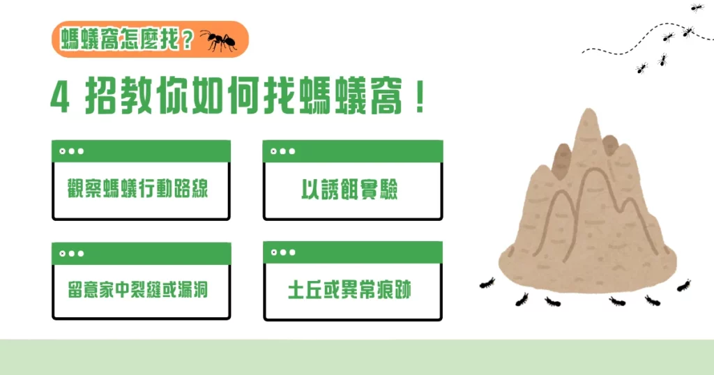 螞蟻窩怎麼找？ 4 招教你如何找螞蟻窩！