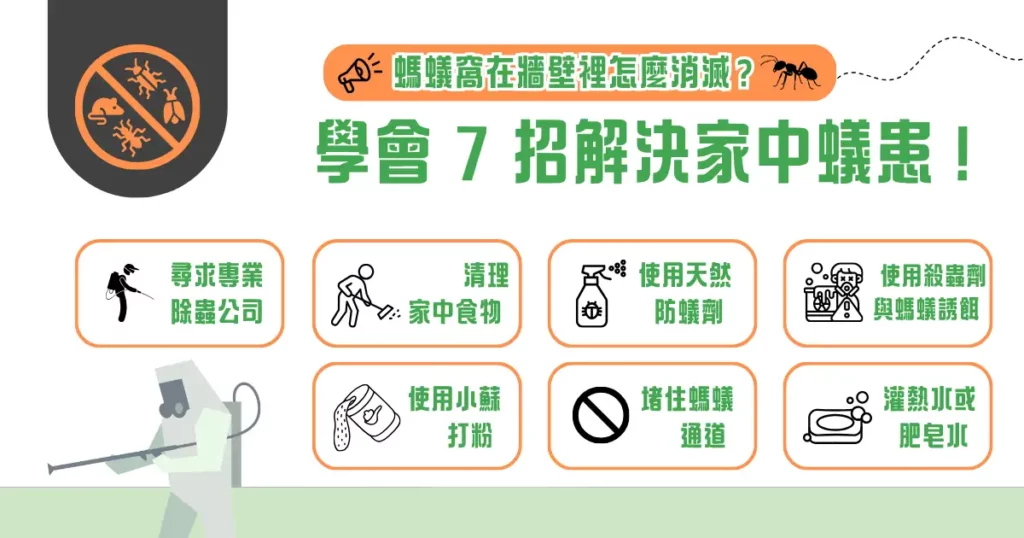 螞蟻窩在牆壁裡怎麼消滅？學會 7 招解決家中蟻患！