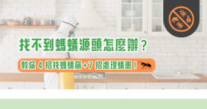 找不到螞蟻源頭怎麼辦？整理螞蟻窩怎麼找的 4 招技巧與 7 種滅蟻方法，教你判斷來源並從源頭解決蟻患問題。