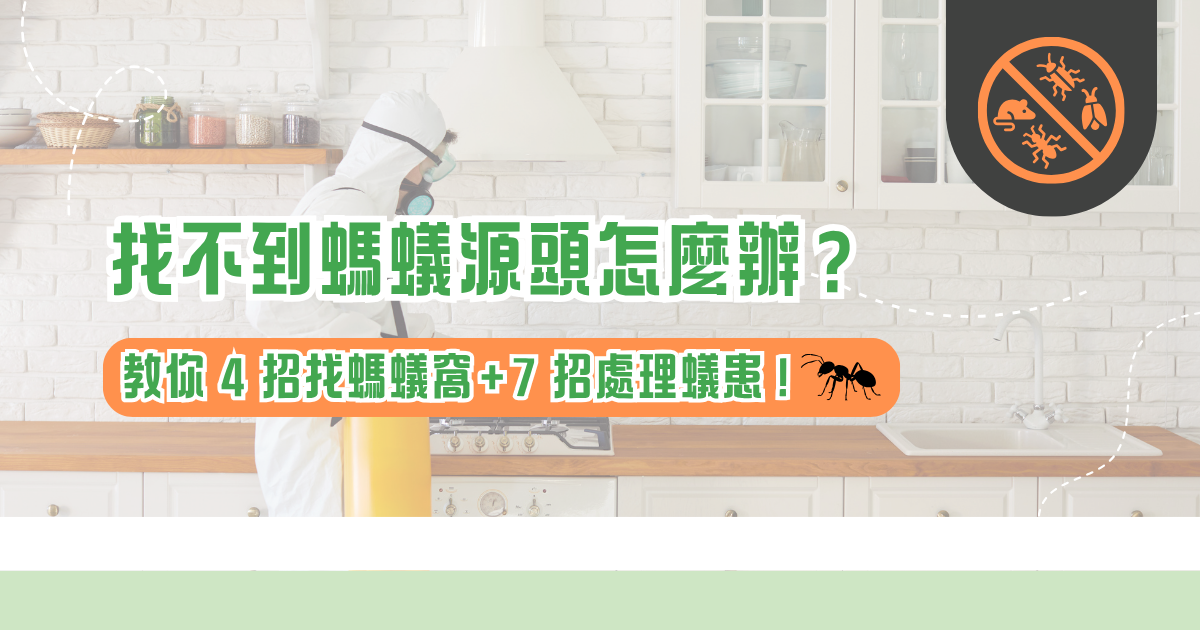找不到螞蟻源頭怎麼辦？整理螞蟻窩怎麼找的 4 招技巧與 7 種滅蟻方法，教你判斷來源並從源頭解決蟻患問題。