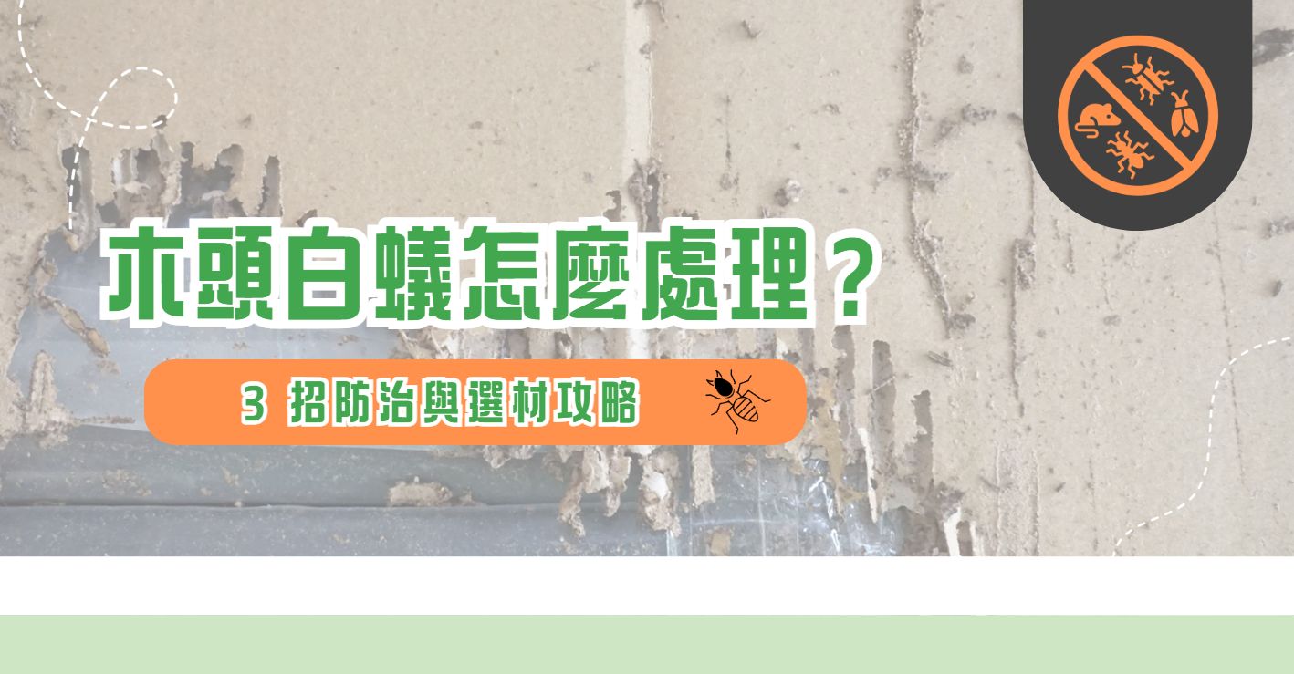 木頭白蟻怎麼處理？3招防治與選材攻略