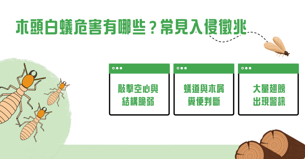 木頭白蟻危害有哪些？常見入侵徵兆